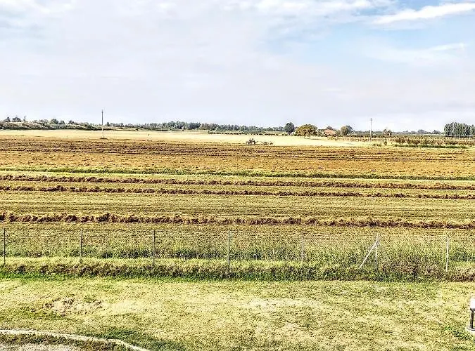 בית הארחה Di Andrea Bertolino Argelato